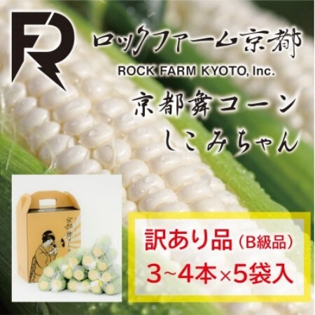 【先行受付】ロックファーム京都　しこみちゃん　京都舞コーンのB級品(ホワイトコーン)白いトウモロコシ【配送不可地域：離島・北海道・沖縄県・東北】【1786844】