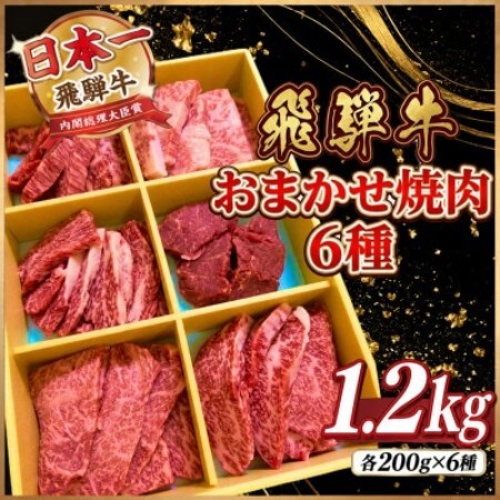 【訳あり】飛騨牛　おまかせ焼肉6種　計1.2kg(各200g×6種)【配送不可地域：離島】【2001662】