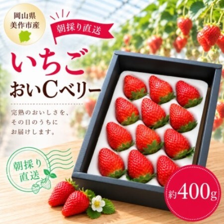 【2027年1月より順次発送】岡山県美作市産　おいCベリー(約400g)【配送不可地域：離島・北海道・沖縄県】【1788588】
