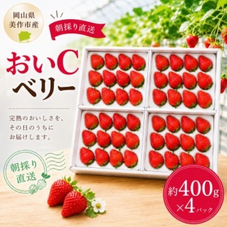 【2027年1月より順次発送】岡山県美作市産　おいCベリー(約400g×4パック)【配送不可地域：離島・北海道・沖縄県】【1788599】