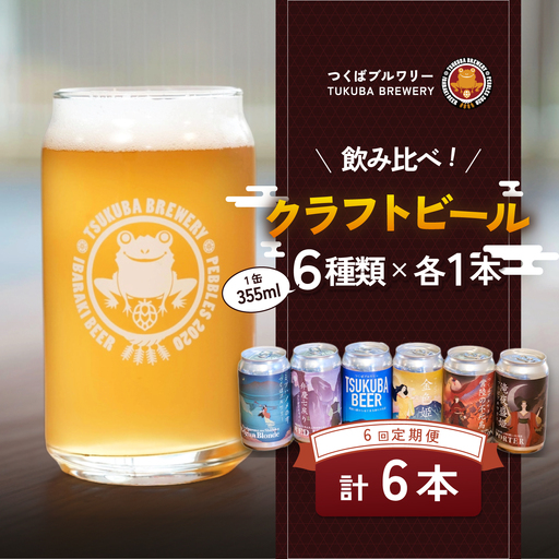 【6回定期便】クラフトビール 6本 つくばブルワリー ビール