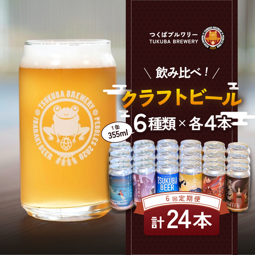 【6回定期便】クラフトビール 24本 つくばブルワリー ビール