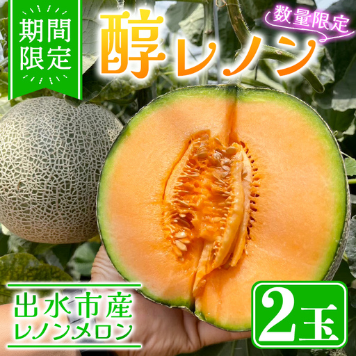メロン 醇レノン 2玉入り フルーツ 果物 先行予約 [Farmer friends Marche]i1225