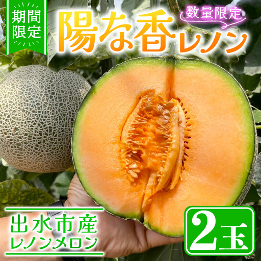 メロン 陽の香レノン 2玉入 フルーツ 果物 先行予約 [Farmer friends Marche]i1226