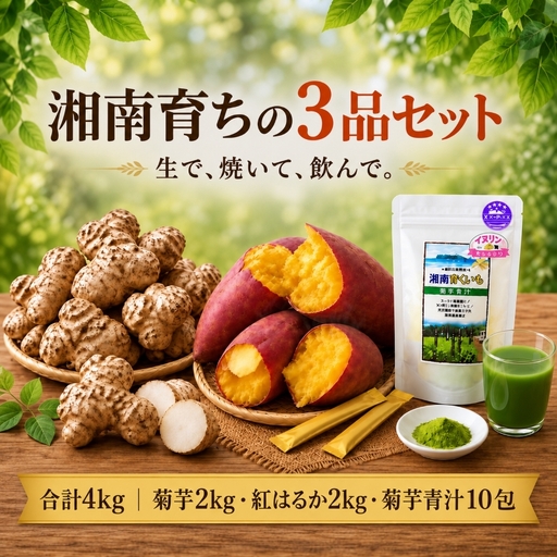 菊芋 紅はるか 各2kg 食べ比べセット 菊芋青汁10包