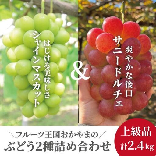 シャインマスカット＆サニードルチェ 大3-5房 計2.4kg～ (岡山県産) 【KF-B033-01】