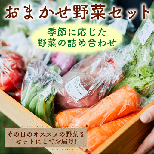 おまかせ野菜セット [ns087-002]