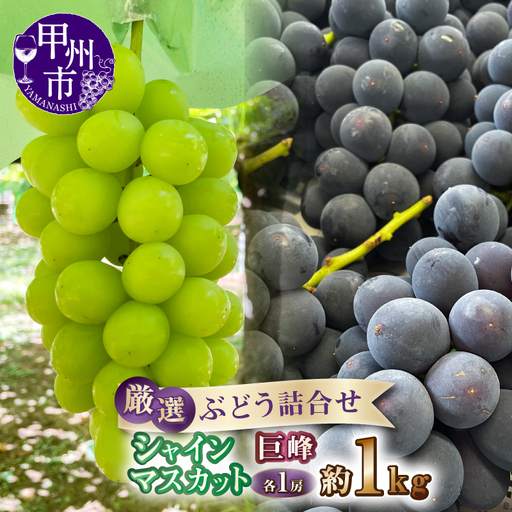 厳選ぶどう詰合せ シャインマスカット&巨峰 約1kg(各1房)[2027年発送](ANF)B-1431 シャインマスカット 巨峰 フルーツ