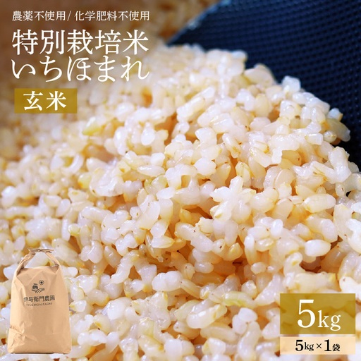 [令和8年産]特別栽培米 いちほまれ 玄米 5kg 化学肥料不使用 [温度と湿度を常時管理し新鮮米を出荷!]/ 高品質 鮮度抜群 福井県あわら産 ブランド米 お米 [aw071-a017]