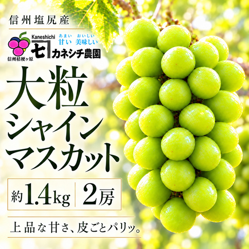 【2026年産】信州塩尻産 カネシチ農園 大粒シャインマスカット 約1.4kg（2房）