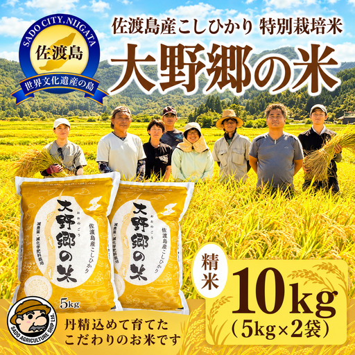 コシヒカリ 精米 10kg | 新潟県 佐渡市 コシヒカリ