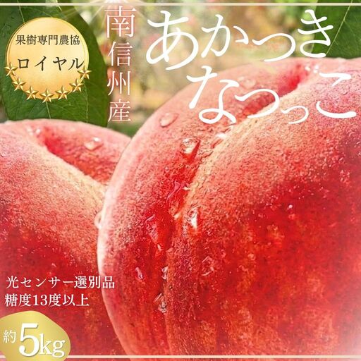 南信州産「桃」 約5kg 12〜18玉 光センサー選別 糖度13.0以上[2027年7月下旬〜発送]