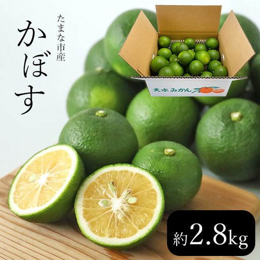 玉名市産 かぼす 2.8kg [熊本玉名・みかん専門店より]