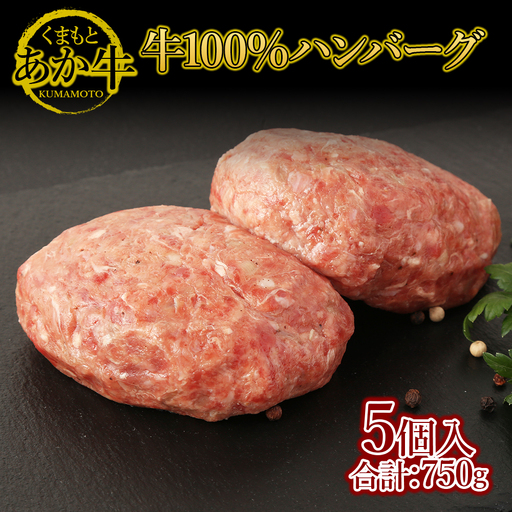 GI認証 くまもとあか牛 100% ハンバーグ 150g × 5個 ( 計750g )