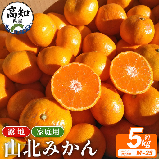 山北みかん（露地） 5.0kg 家庭用 sq-0003