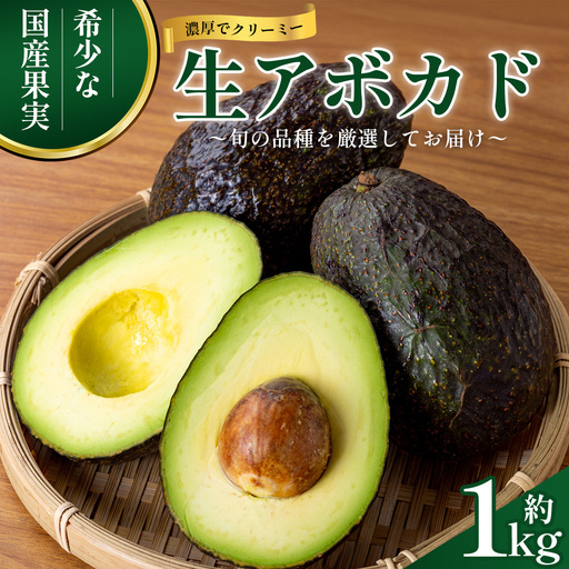 [期間限定・数量限定]南大隅町産 国産生アボカド 約1kg 〜旬の品種を厳選してお届け〜 SG-3