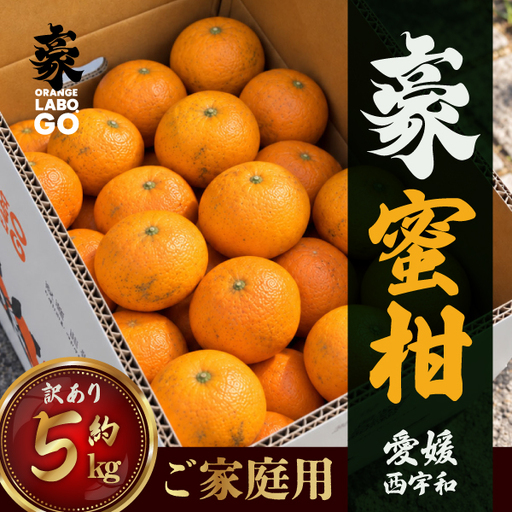 [先行受付]豪蜜柑 5kg ご家庭用[88-7]Y