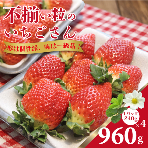【先行予約】令和9年1月中旬ごろより出荷開始予定 不揃い粒の いちごさん 960g（240g×4P）江島農園 B120-102