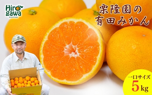 有田 みかん 一口サイズ 5kg / 有田みかん 温州みかん 甘い 小玉 和歌山 柑橘 5kg ※2026年10月上旬〜2027年2月上旬に順次発送[krt004-ss-5]