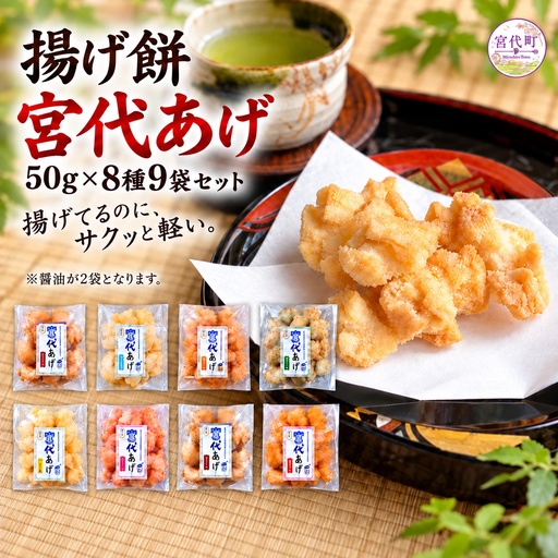 揚げ餅 宮代あげ 8種9袋セット 醤油 塩 コンソメ 青のり チーズ 紅生姜 ソース 唐辛子