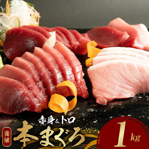 本マグロ（養殖）赤身＆トロセット 1kg_AZ6026