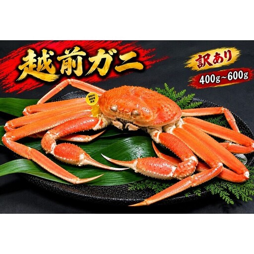 【1月出荷】越前ガニ 訳あり 1本足折れ 400g～600g