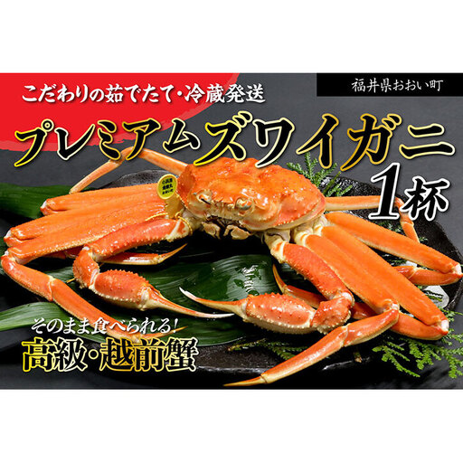 越前ガニ 極みブランド 極上品 1.5kg