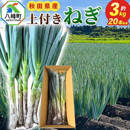 土付きねぎ 八峰町産 約3kg サイズいろいろミックス 20本前後