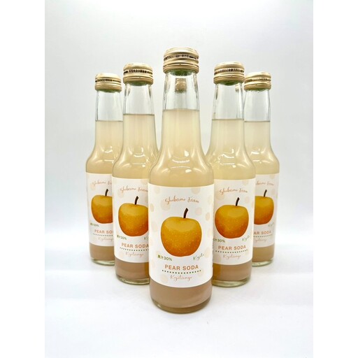 京丹後の梨炭酸ジュース(ソーダ) 小瓶6本入り ジュース 国産 梨 なし ナシ ジュース ドリンク 飲料 果汁 京都 京丹後 ふるさと納税 梨ジュース