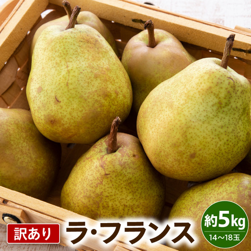 令和8年産 訳あり ラ・フランス 約5kg ラフランス 山形県 米沢市
