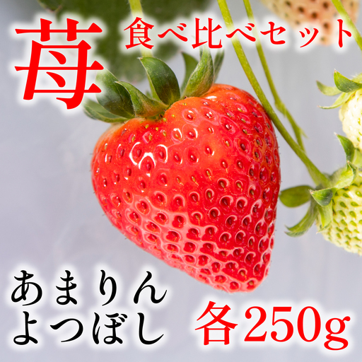 [先行予約] あまりん よつぼし 詰め合わせ 250g×各1パック