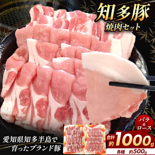 知多豚 焼肉セット1000g(バラ焼肉500g、ロース焼肉500g) | 愛知県 武豊町