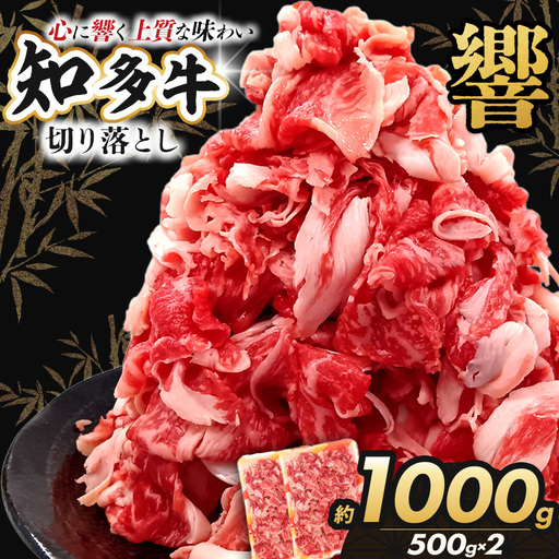 知多牛(響) 切り落とし 500g×2 | 愛知県 武豊町