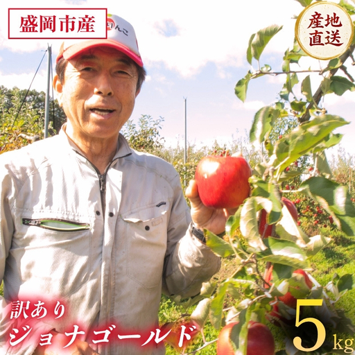 りんご 訳あり ジョナゴールド りんご 5kg 盛岡 熊谷果樹園