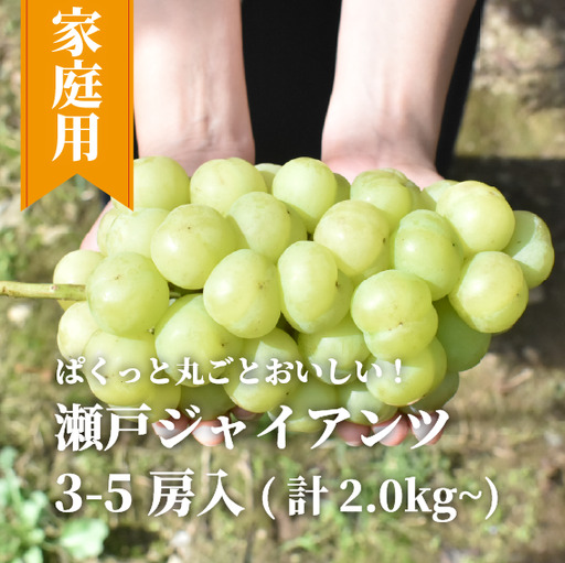 岡山県産 瀬戸ジャイアンツ 3-5房 約2kg～ 【KF-B047-01】