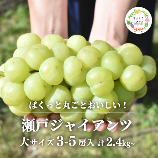  岡山県産 数量限定 瀬戸ジャイアンツ 大3-5房 計2.4kg～ 【KF-B057-01】