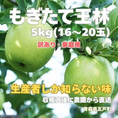 生産者しか知らない味 パリッと、シャキッと もぎたて王林 約5kg(16～20玉)【訳あり】【配送不可地域：離島・沖縄県】【2002539】
