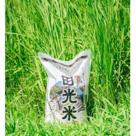 田光米 精米(コシヒカリ5kg)