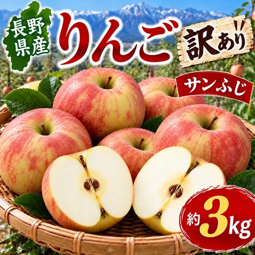 長野県産 りんご 訳あり サンふじ 約3kg | 福田園