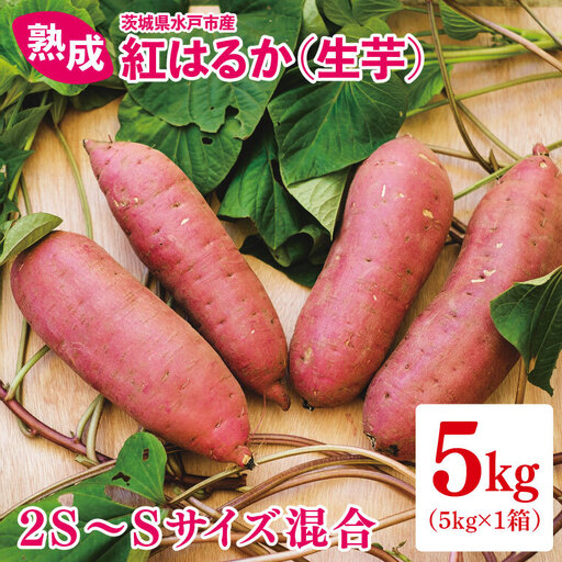 熟成 紅はるか生芋 2S〜Sサイズ 混合 5kg (IN-17)