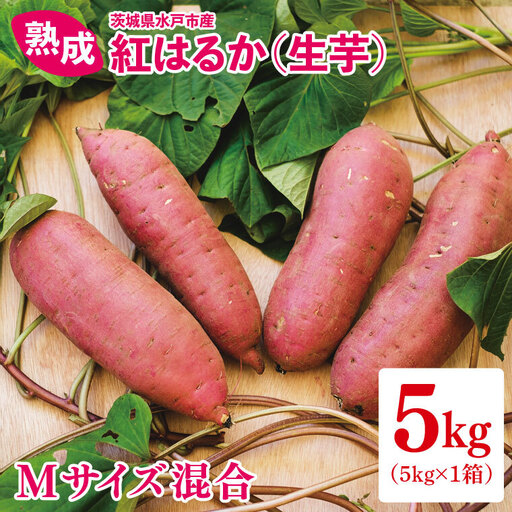 熟成 紅はるか生芋 Mサイズ 混合 5kg（IN-18)