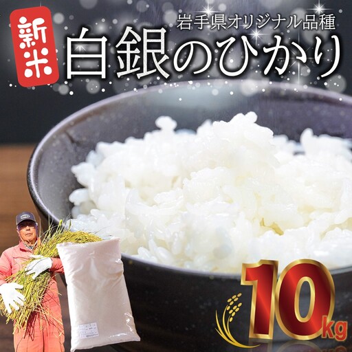 新米 米 白銀のひかり10kg 新米