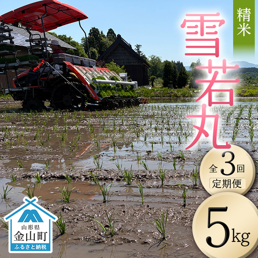 先行予約 令和8年産 雪若丸 精米 5kg 3回定期便（マイスター監修） 米 お米 白米 ご飯 ブランド米 山形 金山町 F4B-0850