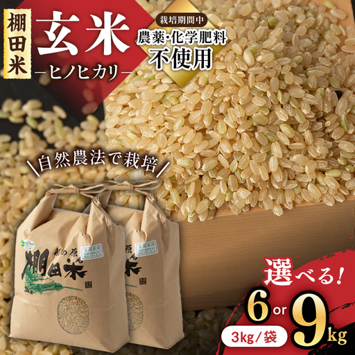 棚田玄米 ヒノヒカリ玄米 6kg 