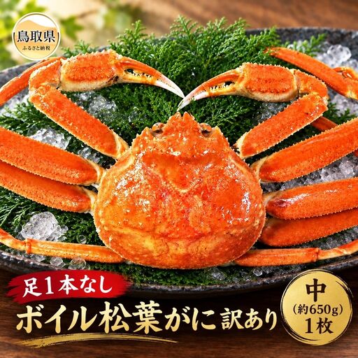 【魚倉】足1本なし生松葉ガニ訳あり 中 約650g【期間限定】_T2600545