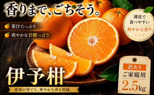 [香り立つ果実 愛媛県産伊予柑 合計約2.5kg]『2027年1月上旬〜2月下旬迄に順次出荷予定』 訳あり あまい 爽やかな香り ミカン 蜜柑 ご家庭用 果汁 果物 くだもの フルーツ オレンジ 柑橘 特産品 極尽道 愛媛県 西予市 [常温]OKS0037