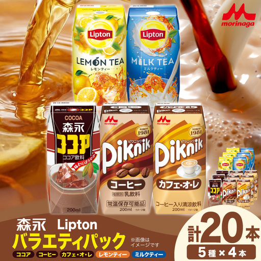 森永乳業 リプトン バラエティパック 5種 各4本 計20本入