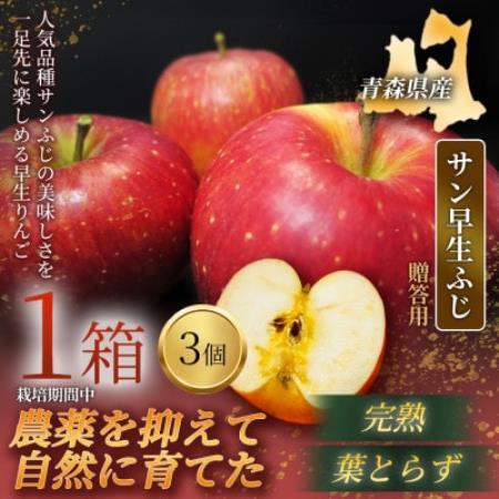 [青森直送 季節の味覚をお届け]サン早生ふじ 3個入×1箱(贈答用)2026年産 産地直送 限定生産[配送不可地域:離島]