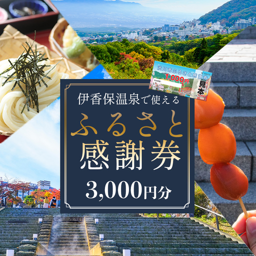 伊香保温泉で使えるふるさと感謝券 3,000円分(1000円×3枚)