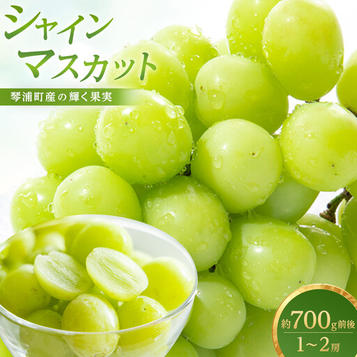 訳あり 琴浦町産シャインマスカット(粒パック)1kg(500g×2)